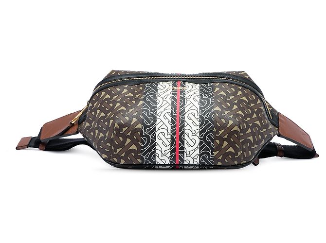 Borsa a cintura Sonny Burberry TB Monogram E Canvas Stripe Marrone - vista 3