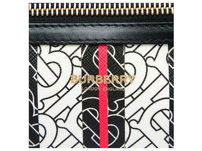 Borsa a cintura Sonny Burberry TB Monogram E Canvas Stripe Marrone - vista 5