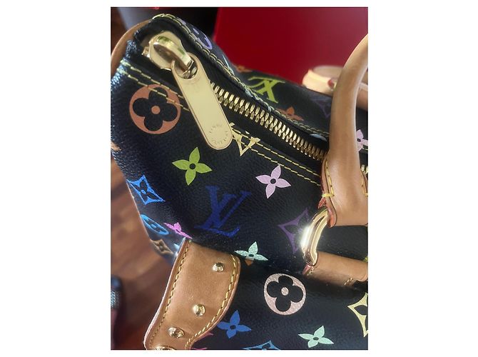 Louis Vuitton Monogram Multicolore Speedy 30 Multiple colors - view 5