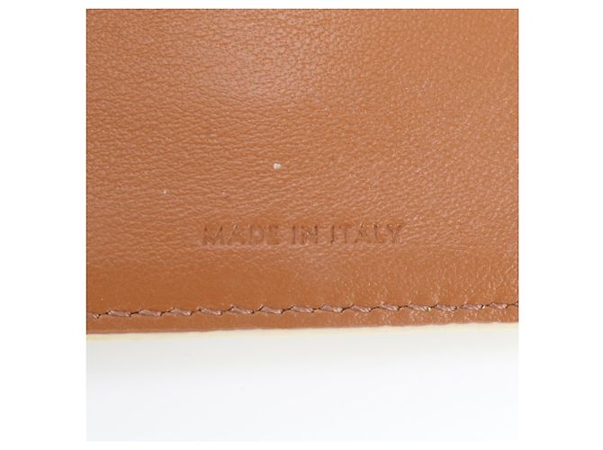 Céline Portafoglio Small con tracolla in tela Triomphe Celine Marrone Bianco sporco - vista 10