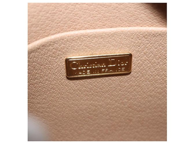 Borsa a Tracolla Christian Dior Trotter PVC Pelle Nero Tono Oro Auth 201320 - vista 21