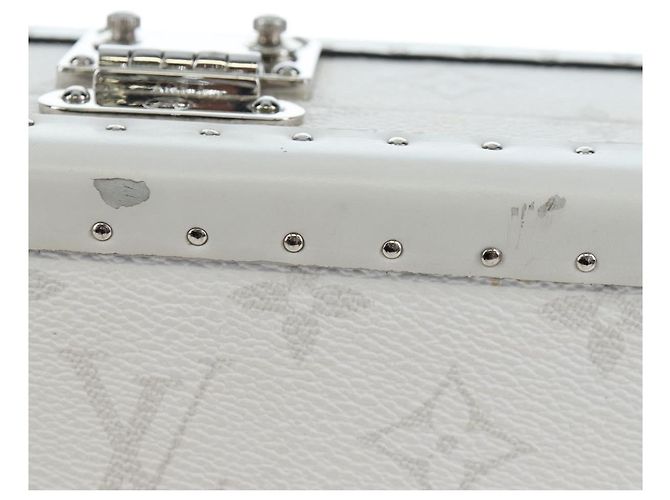 LOUIS VUITTON Tiger Lama Monogram Clutch Box White LV Auth 202290SAM Bianco - vista 4