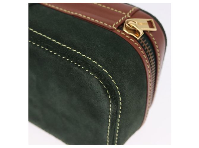 LOEWE Schmuckbeutel Suede Green Gold Auth 203034A Golden Grün - Ansicht 16