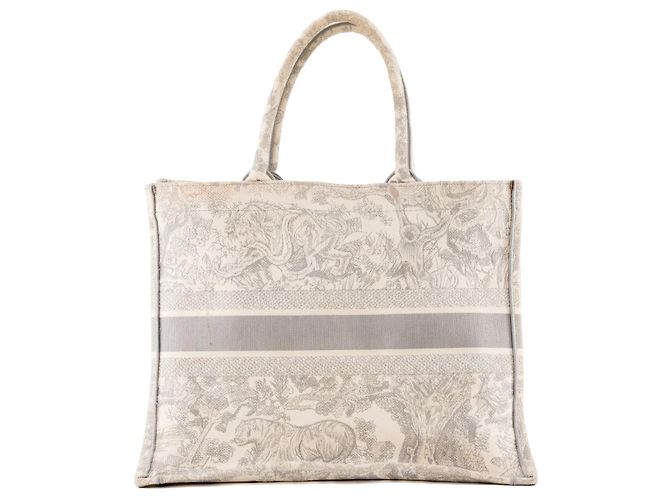 DIOR - Borsa Book Tote grande in toile de jouy grigia Grigio - vista 3