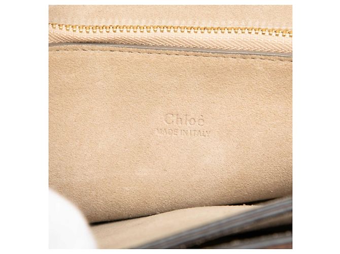 Chloé Faye Crossbody in vitello e camoscio marrone Medium - vista 5