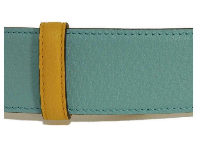 Cintura Standard Gucci Celeste e Giallo Blu chiaro - vista 5