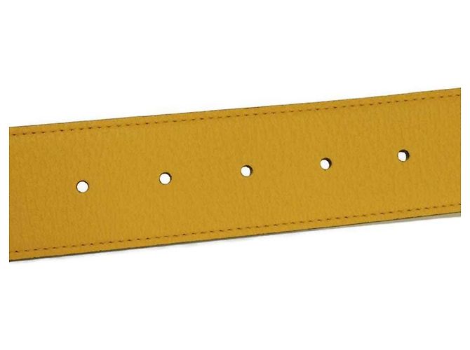 Cintura Standard Gucci Celeste e Giallo Blu chiaro - vista 7
