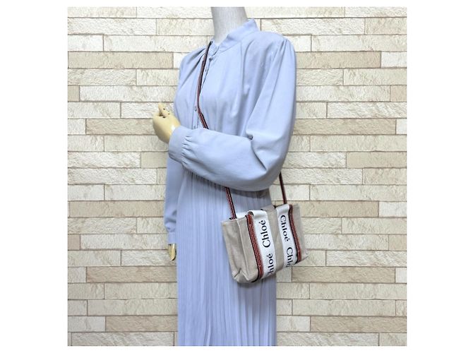 Borsa a tracolla Chloé Mini Tote Woody Marrone Bianco - vista 2