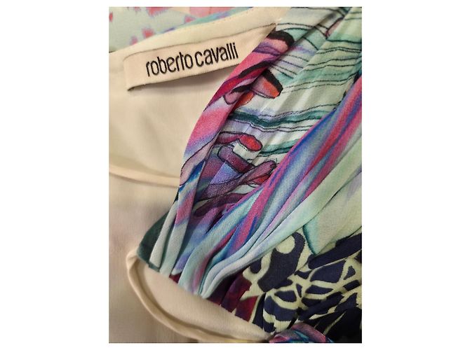 Roberto Cavalli Seiden-Maxikleid mit Blumenprint Mehrfarben - Ansicht 10