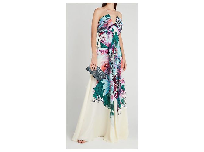 Roberto Cavalli Seiden-Maxikleid mit Blumenprint Mehrfarben - Ansicht 15