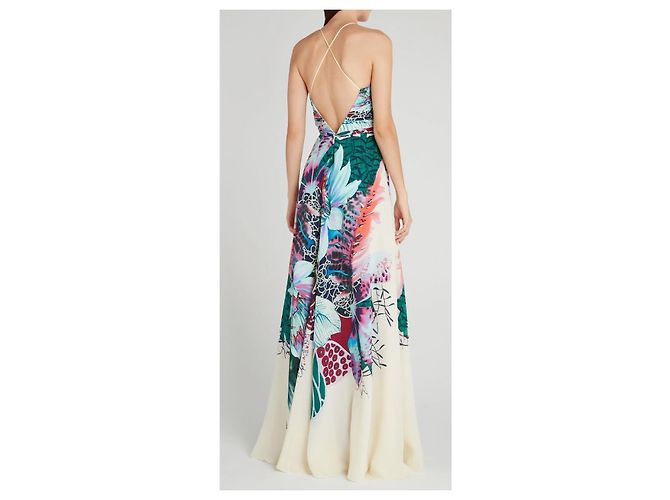 Roberto Cavalli Seiden-Maxikleid mit Blumenprint Mehrfarben - Ansicht 16