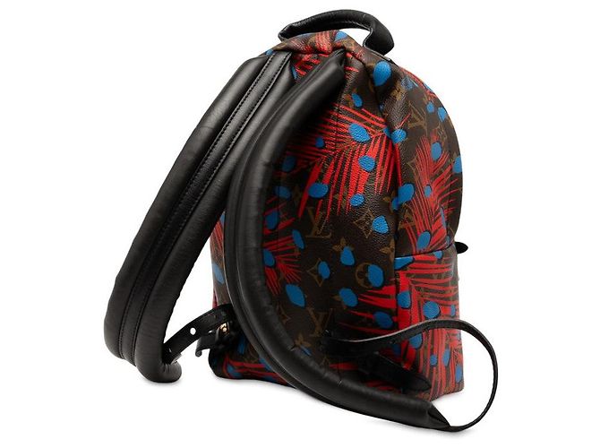 Louis Vuitton Palm Springs Backpack PM Multiple colors - view 2