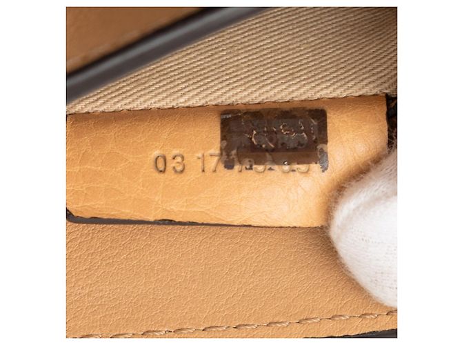 Zaino/Borsa 2 in 1 Chloé Faye Beige Grigio - vista 7