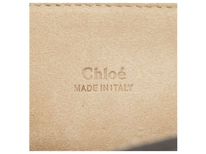 Borsa a tracolla Chloé Faye Rosa Beige - vista 12