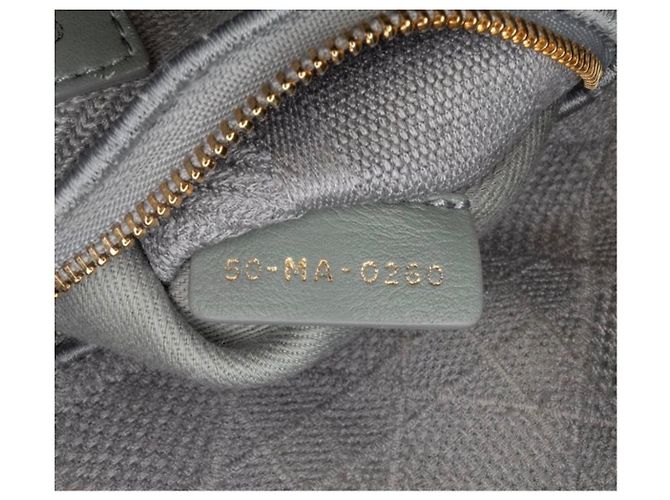 Christian Dior Borsa Lady Dior Medium in Tela Grigia Grigio - vista 19