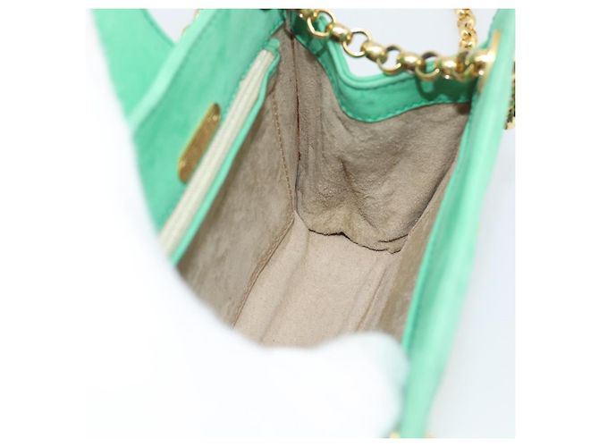 Tiffany & Co TIFFANY&Co. Chain Shoulder Bag Suede Green Gold - vista 18