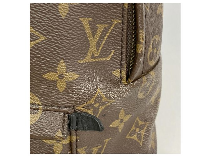Mochila Louis Vuitton Monogram Palm Springs MM Castaño - vista 11