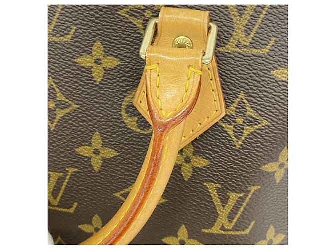 Borsa Louis Vuitton Alma Monogram Marrone - vista 7