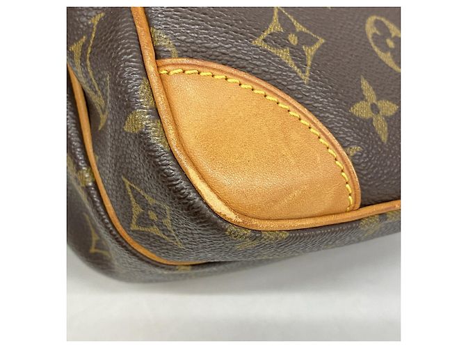 Bolsa de Ombro Louis Vuitton Monogram Amazon Marrom - vista 6