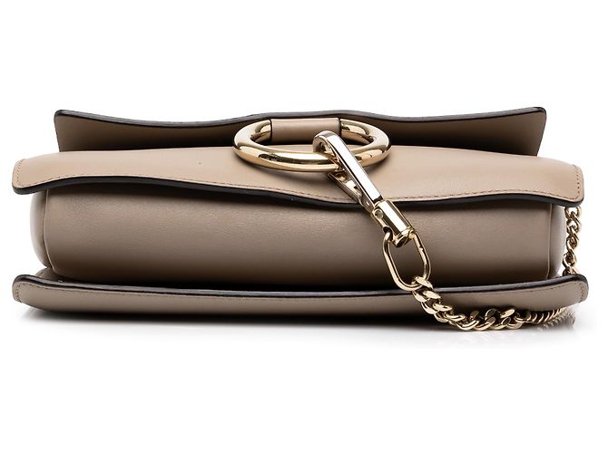 Chloé Faye Crossbody Small in Camoscio e Vitello Marrone Taupe - vista 3