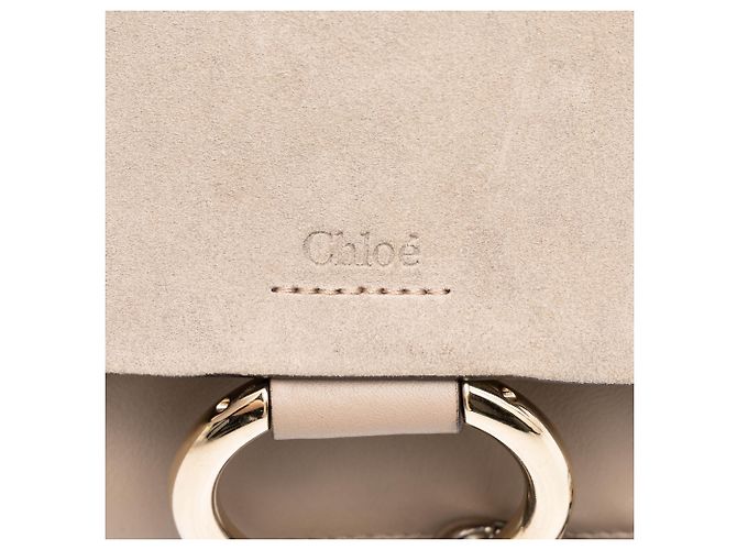 Chloé Faye Crossbody Small in Camoscio e Vitello Marrone Taupe - vista 6
