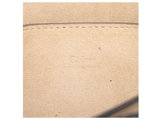 Borsa a tracolla Chloé Faye Small in camoscio e pelle di vitello marrone Taupe - vista 5