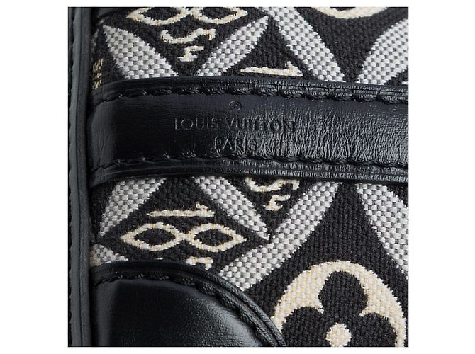 Louis Vuitton Gray Monogram Jacquard Since 1854 Nano Noe Marrone - vista 5