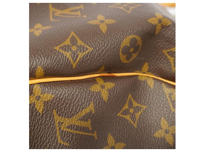 Keepall Bolso Boston Louis Vuitton Marrón Castaño - vista 14