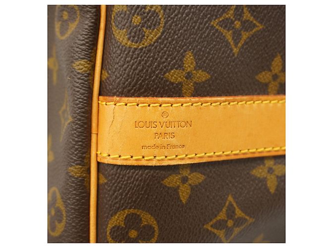 Keepall Bolso Boston Louis Vuitton Marrón Castaño - vista 5
