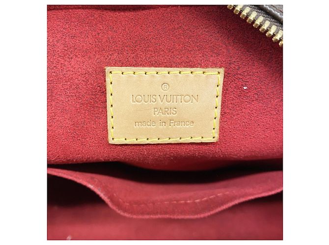 Borsa Louis Vuitton Monogram Excentricite Marrone - vista 5