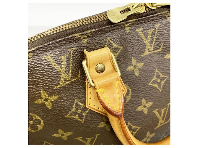 Borsa a mano Louis Vuitton Alma Monogram Marrone - vista 9