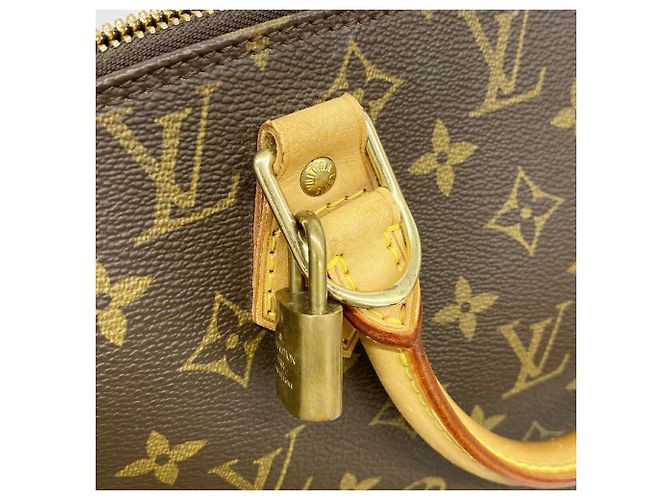 Borsa Louis Vuitton Alma Monogram Marrone - vista 9