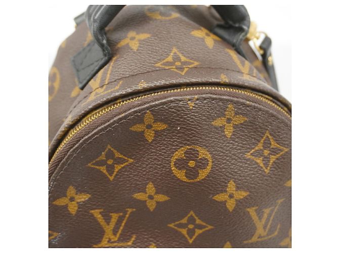 Louis Vuitton Monogram Palm Springs Backpack MINI Brown - view 10