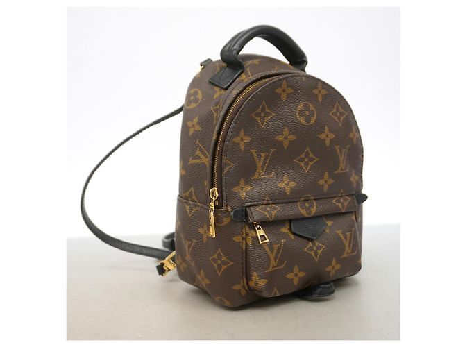Louis Vuitton Monogram Palm Springs Backpack MINI Brown - view 2