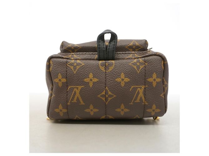 Louis Vuitton Monogram Palm Springs Backpack MINI Brown - view 3
