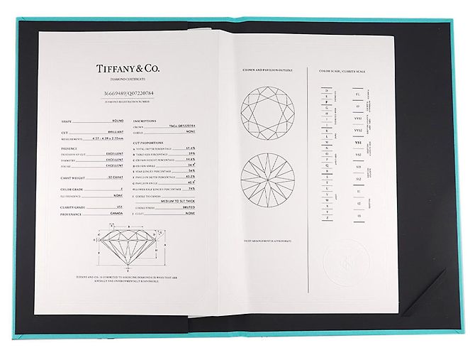 Autre Marque Tiffany & Co. Novo Diamond Band Ring - Ansicht 9