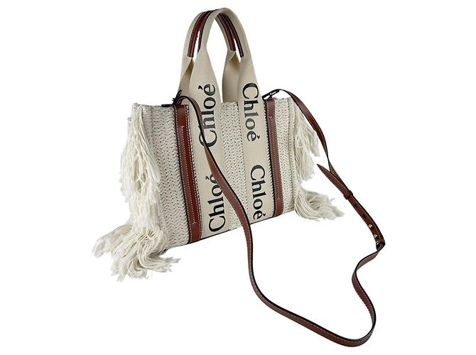 Chloé Chloe Woody Piccola Borsa a Mano/Borsa a Tracolla - vista 11