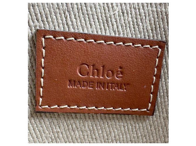Chloé Chloe Woody Piccola Borsa a Mano/Borsa a Tracolla - vista 13