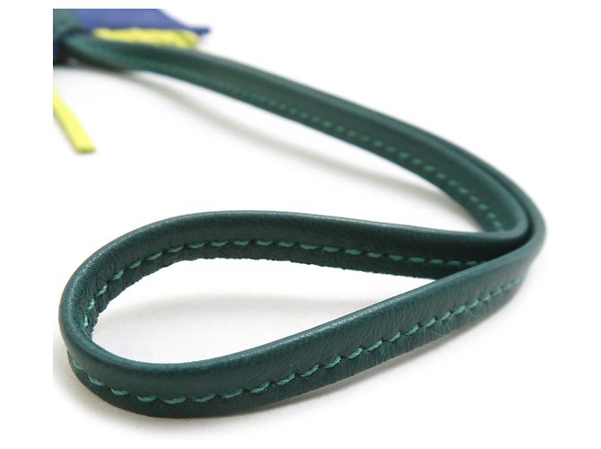 Hermès Hermes Rodeo PM Handbag Charm Verde Amarillo Azul marino - vista 6