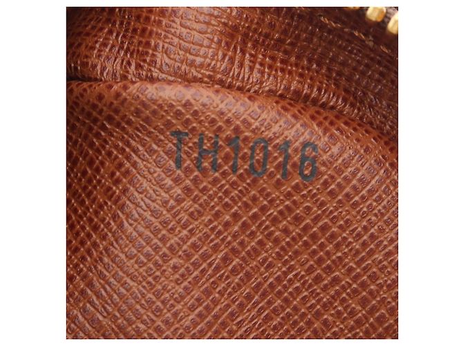 Borsa a tracolla Louis Vuitton Amazon Marrone - vista 5