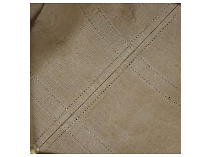Borsa Boston Christian Dior Trotter Canvas Marrone Oro Auth 201940 D'oro - vista 16