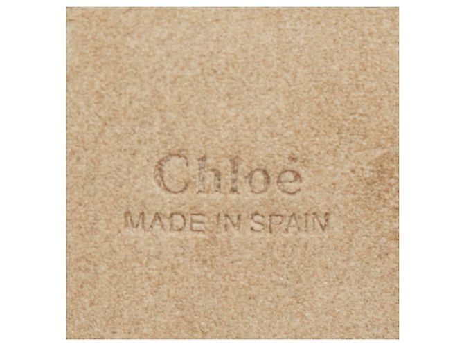 Borsa a tracolla Chloé Faye Small Marrone - vista 10