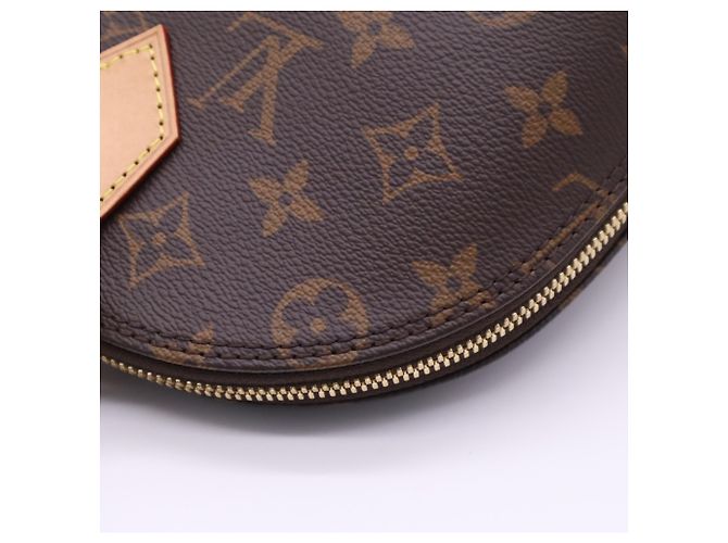 Borsa Louis Vuitton Monogram Alma PM Marrone Beige - vista 11