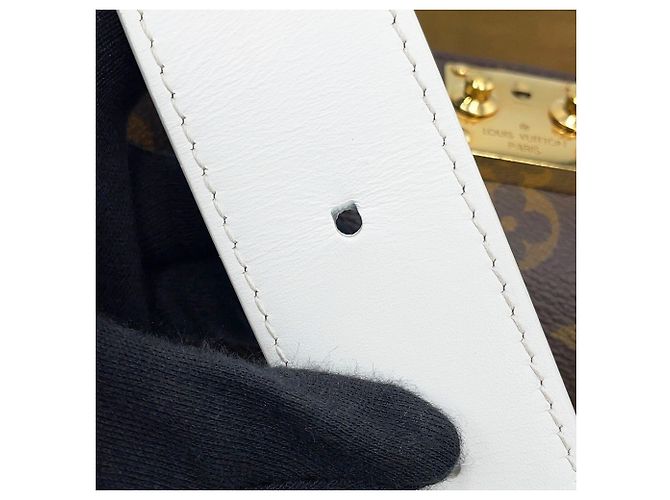 Louis Vuitton Monogram Papillon Trunk M81485 Castaño - vista 14