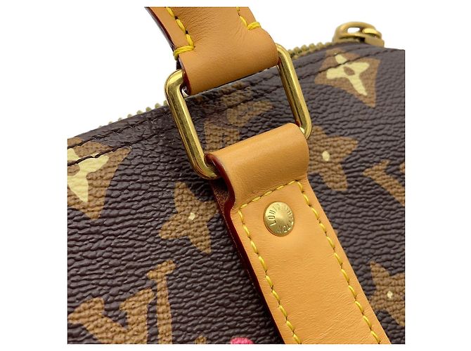 Borsa Louis Vuitton Monogram Craggy Keepall Bandoulière 25 Marrone - vista 7