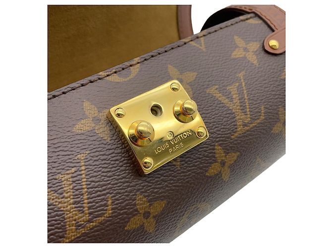 Borsa a tracolla Louis Vuitton Monogram Papillon Trunk Marrone - vista 11