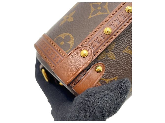 Borsa a tracolla Louis Vuitton Monogram Papillon Trunk Marrone - vista 8