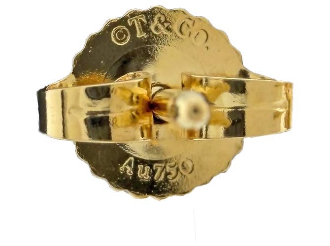 Autre Marque Orecchini a cerchio Tiffany & Co. Atlas X D'oro - vista 5