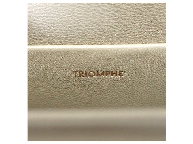 Céline Celine Brown Teen Shiny Calfskin Triomphe Crossbody Marrone Cachi - vista 6