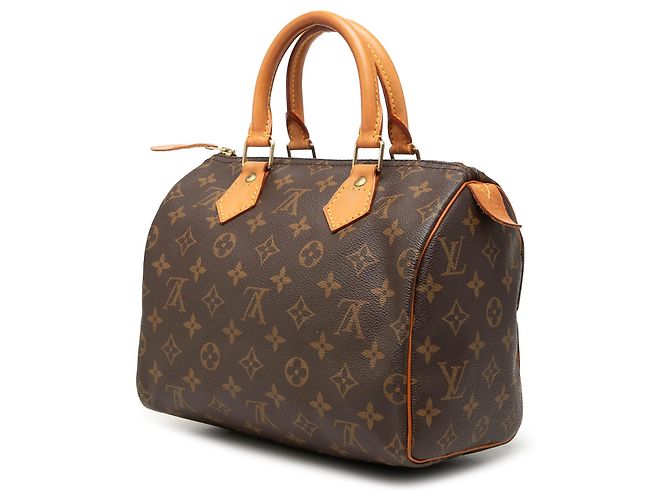 Louis Vuitton Brown Monogram Speedy 25 Marrone - vista 2